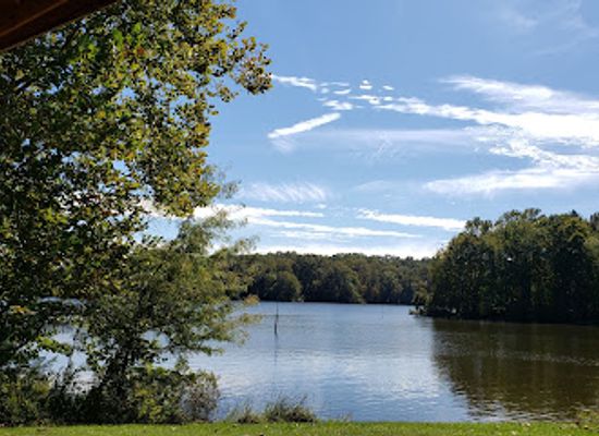 mississippi/natchez/attraction/natchez-state-park