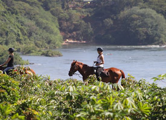 uganda/jinja/attraction/nile-horseback-safaris