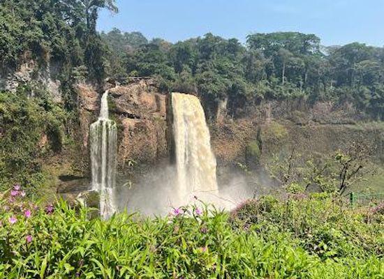 cameroon/dschang/attraction/ekom-nkam-waterfalls