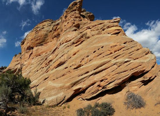 utah/uinta-mountains/attraction/red-fleet-dinosaur-track-site-trailhead