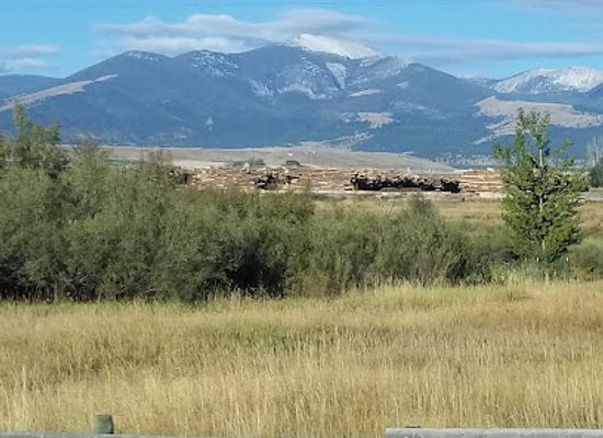 montana/rocky-mountain-front/attraction/old-montana-prison-auto-museum-complex