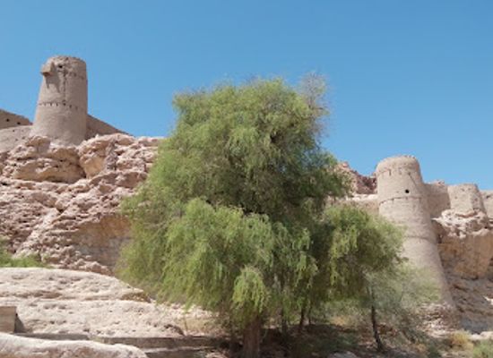 oman/ibri/attraction/al-sulaif-fort