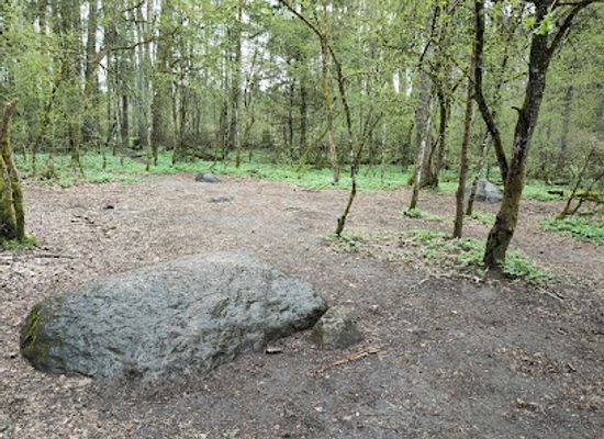 poland/podlachia/attraction/miejsce-mocy