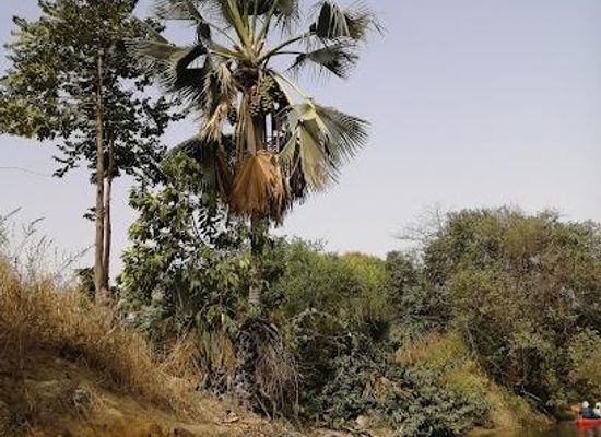the-gambia/gunjur/attraction/tanji-bird-reserve