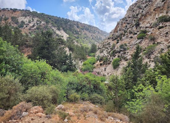 cyprus/paphos-district/attraction/viewpoint