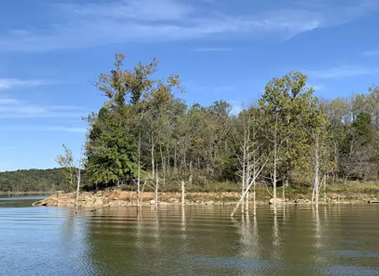 indiana/patoka-lake/attraction/gilligan-s-boats
