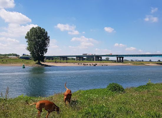netherlands/delfland/attraction/heulse-waard