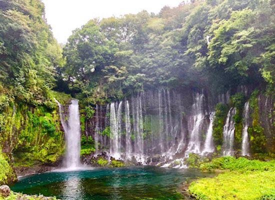 japan/izu/attraction/shiraito-falls