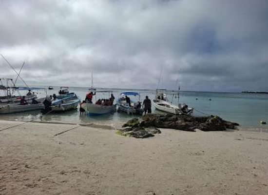 mexico/tulum/attraction/tulum-tours-l-paradise-adventours-tours-en-tulum