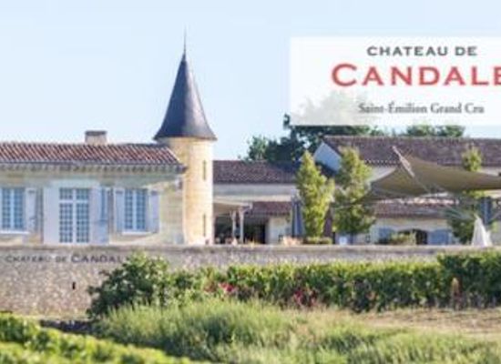 france/aquitaine/attraction/chateau-de-candale