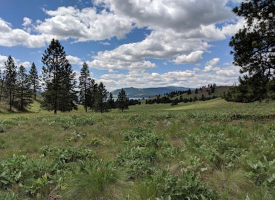 montana/eastern-montana/attraction/wild-horse-island-state-park
