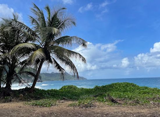 dominica/hampstead-beach/attraction/boute-sabe-beach