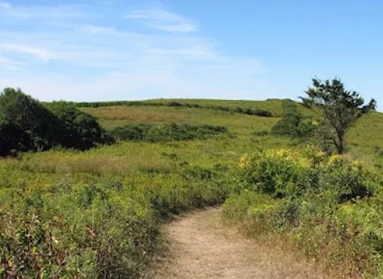 rhode-island/block-island/attraction/audubon-lewis-dickens-farm-wildlife-refuge