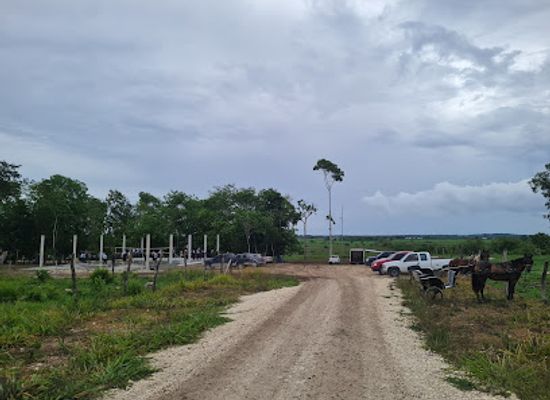 belize/orange-walk-district/attraction/blumenhof-family-park