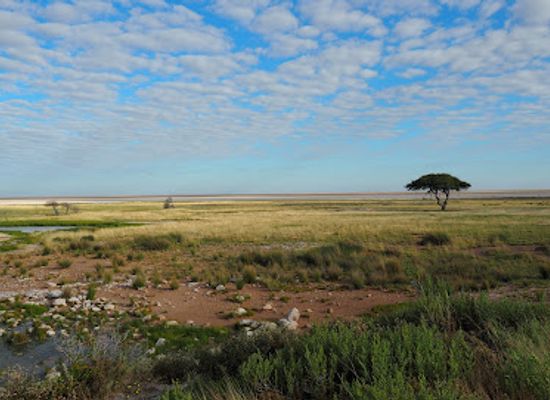 namibia/oshikoto/attraction/etosha-pan