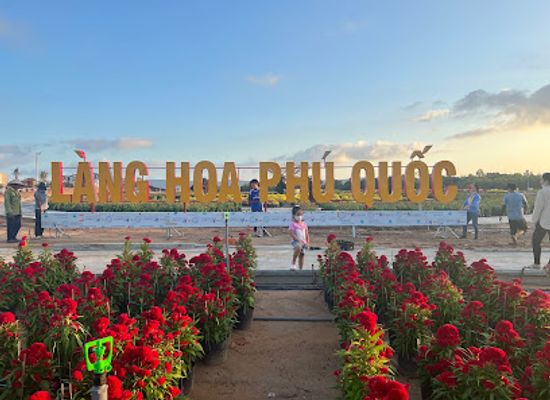 vietnam/phu-quoc-island/attraction/lu-phu-quoc