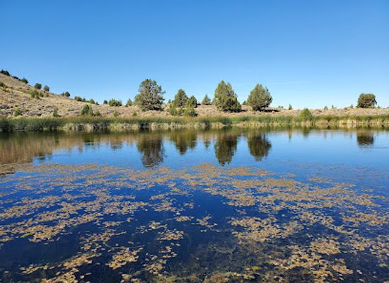 oregon/lake-county/attraction/hart-mountain-national-antelope-refuge-visitor-center