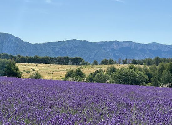 france/provence/attraction/corniche-sublime