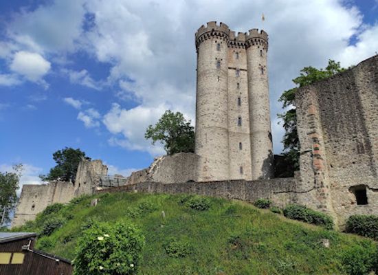 germany/eifel/attraction/eagle-and-wolf-park-kasselburg