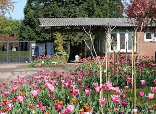 germany/hamburg/attraction/loki-schmidt-garden-botanical-of-university-hamburg