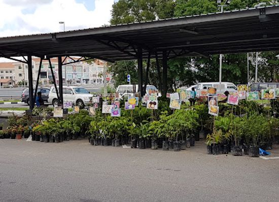 brunei/temburong-district/attraction/gadong-night-market