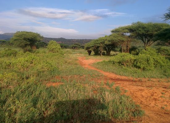 kenya/chyulu-hills/attraction/rhino-sanctuary