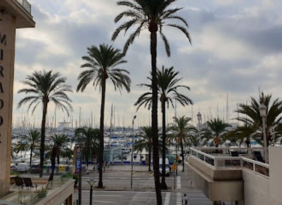spain/palma-de-mallorca/paseo-maritimo/attraction/attraction-catamarans-mallorca
