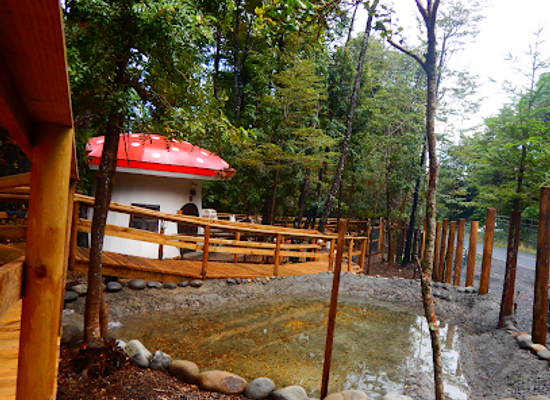 chile/los-rios-region/attraction/enchanted-forest-pucon