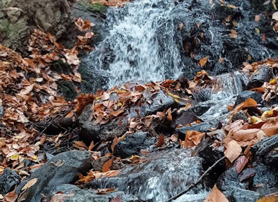 armenia/tavush/attraction/mineralnyy-istochnik