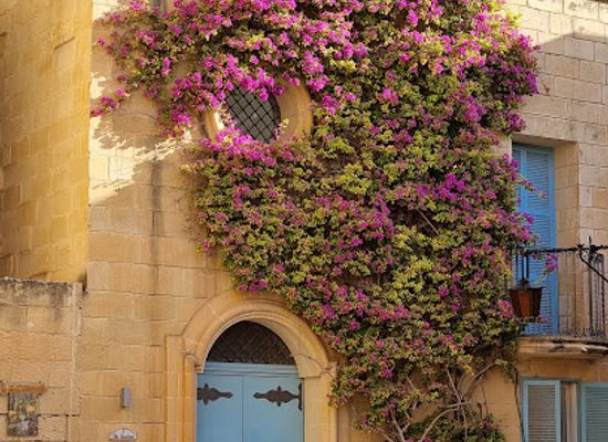 malta/fawwara-area/attraction/bench-with-flowers