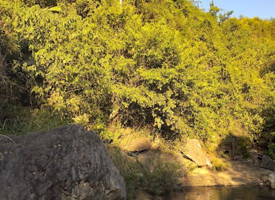 vietnam/north-central-coast/attraction/hang-doi