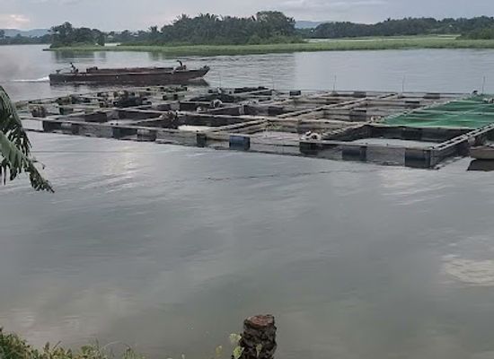 ghana/sogakope/attraction/liu-xi-fish-farm