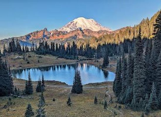 washington/mount-rainier-national-park/attraction/tipsoo-lk-trl