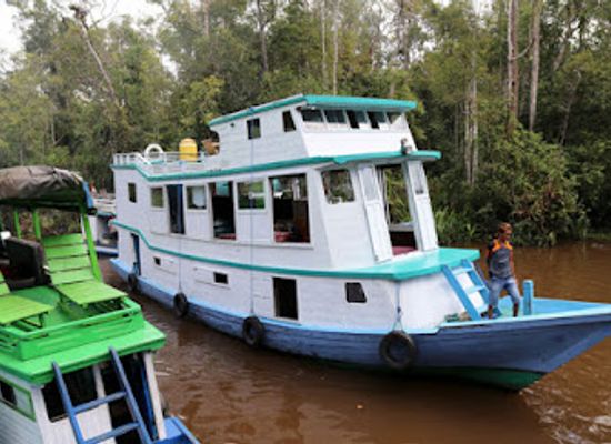 indonesia/tanjung-puting-national-park/attraction/tanjung-puting-borneo-tour