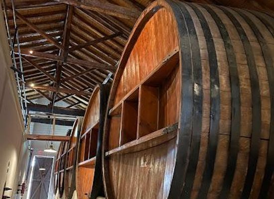 argentina/cuyo/attraction/altieri-family-winery-vinorum