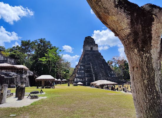 guatemala/tikal-national-park/attraction/palacio-de-las-acanaladuras