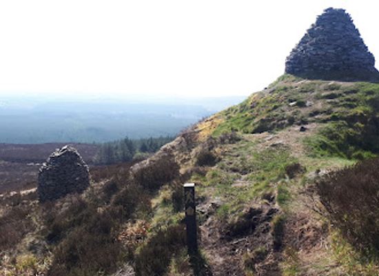 ireland/county-laois/attraction/the-stoney-man
