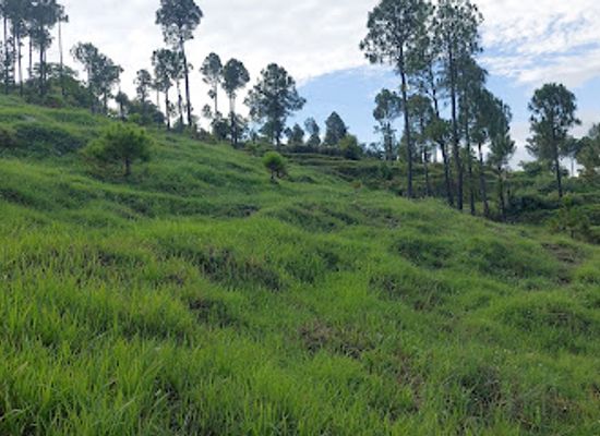 pakistan/kaghan-valley/attraction/konsh-hill-view-park