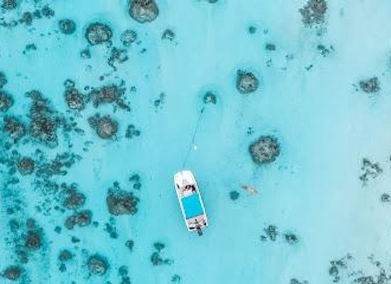 french-polynesia/moorea/attraction/mermaid-private-boat-tours