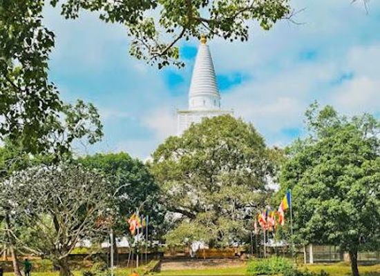 sri-lanka/anuradhapura/attraction/mirisawetiya
