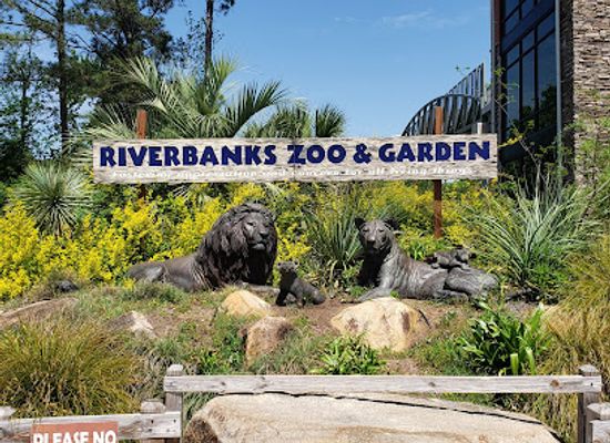 south-carolina/midlands/attraction/riverbanks-zoo-garden