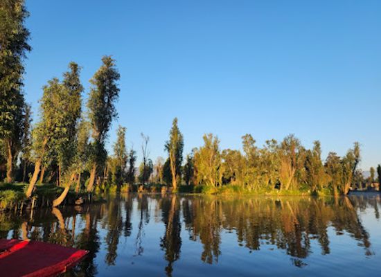 mexico/mexico-city/xochimilco/attraction/parque-ecologico-de-xochimilco