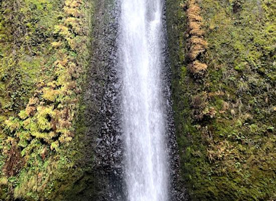 oregon/columbia-river-gorge/attraction/gorton-creek-falls
