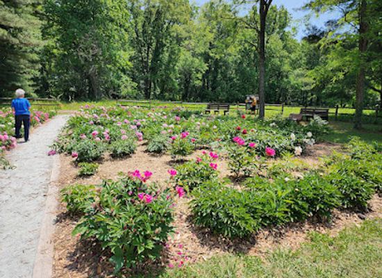 maryland/seneca-creek-state-park/attraction/schwartz-peony-garden