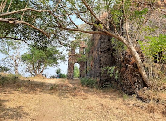 india/northern-plains/attraction/dronagiri-fort