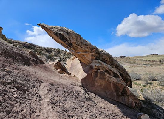 colorado/grand-junction/attraction/millennium-falcon