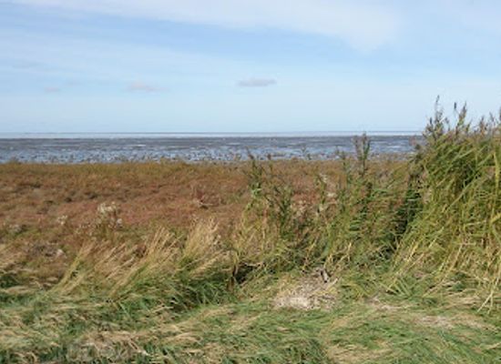 netherlands/wadden-islands/attraction/unesco-waddenzee