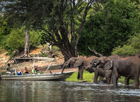 botswana/moremi-game-reserve/attraction/kalahari-tours