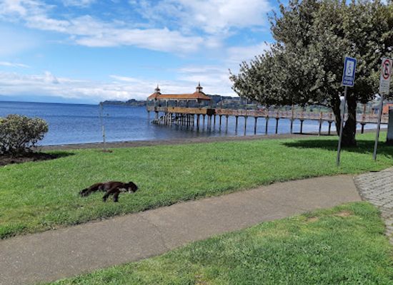 chile/los-lagos-region/attraction/frutillar-s-dock