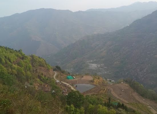 india/nagaland/attraction/khrieketsa-pine-hill